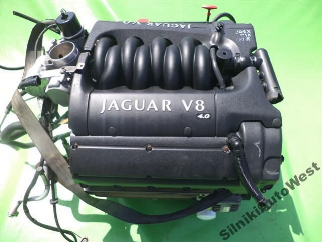 JAGUAR XJ8 XJ X308 XK XK8 двигатель 4.0 V8 BEZ VANOSO